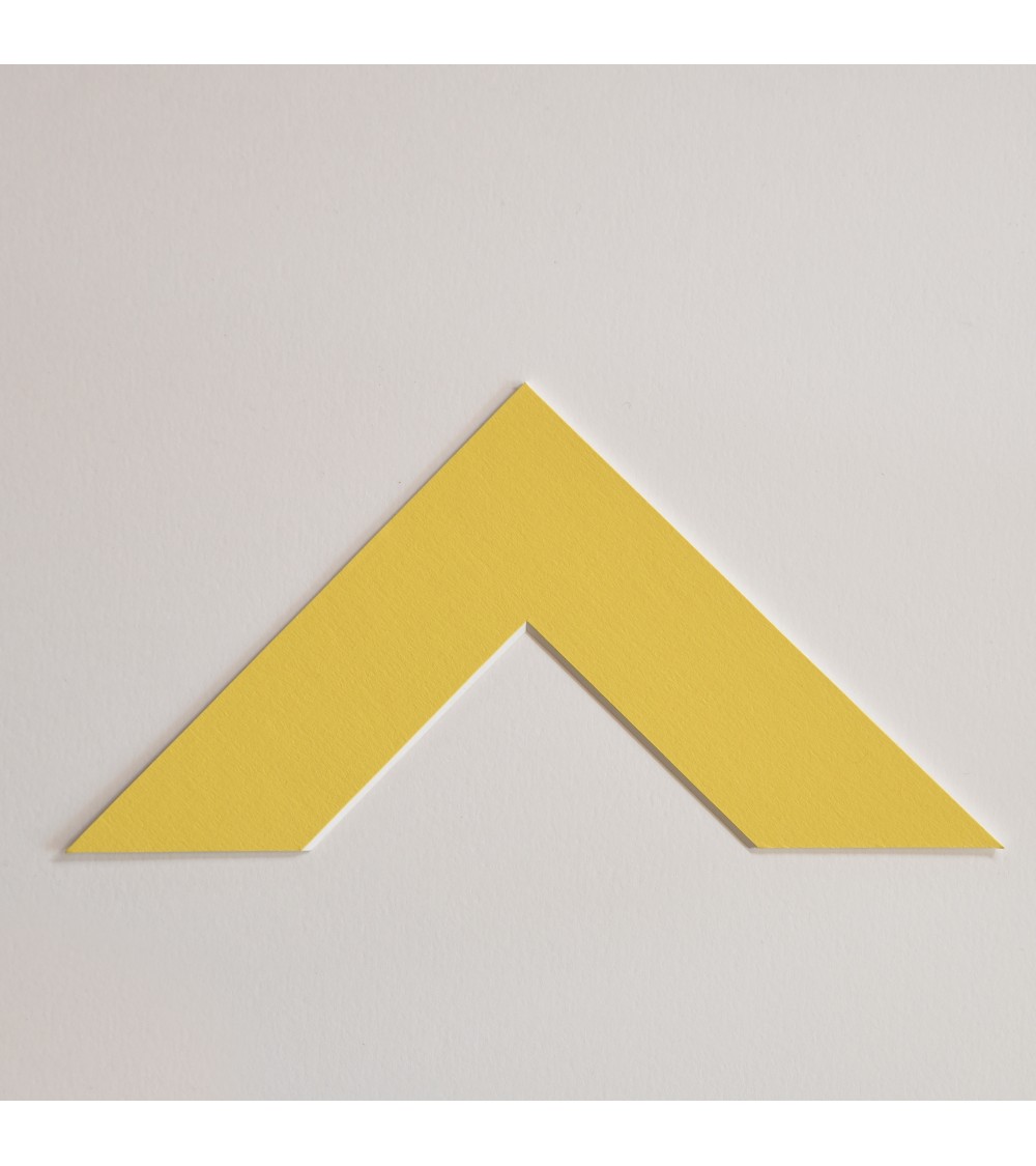 Passe-partout canari