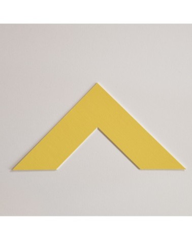 Passe-partout canari