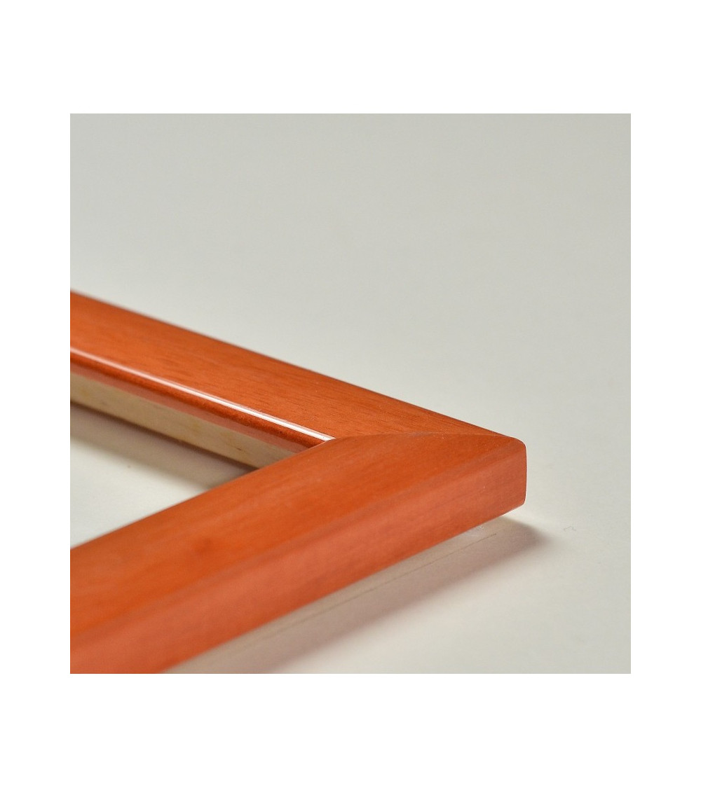 Cadre brillant, de taille moyenne, 12 coloris.